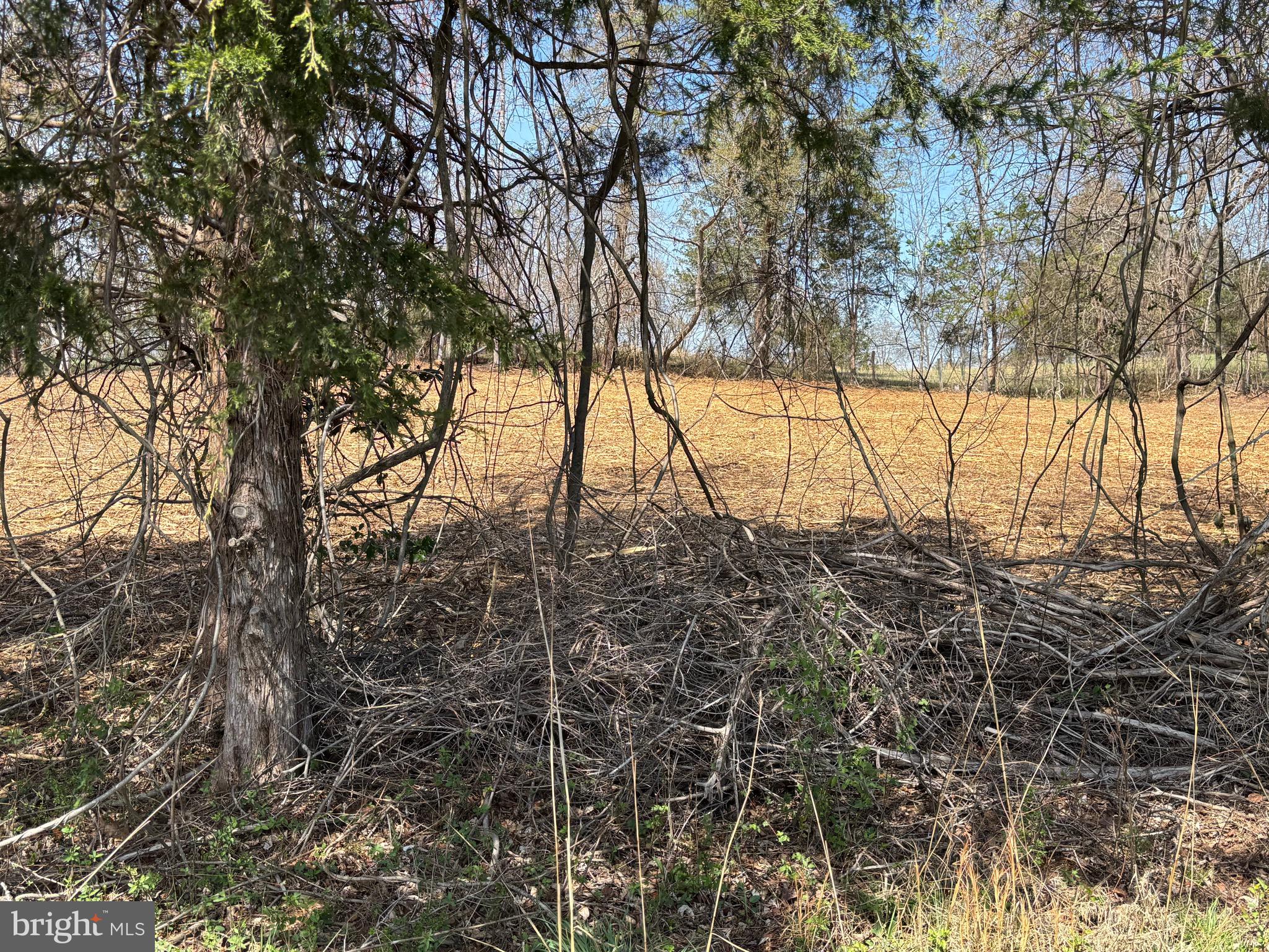 2 Holly Springs Road Amissville, VA 20106 - Photo 4 of 10