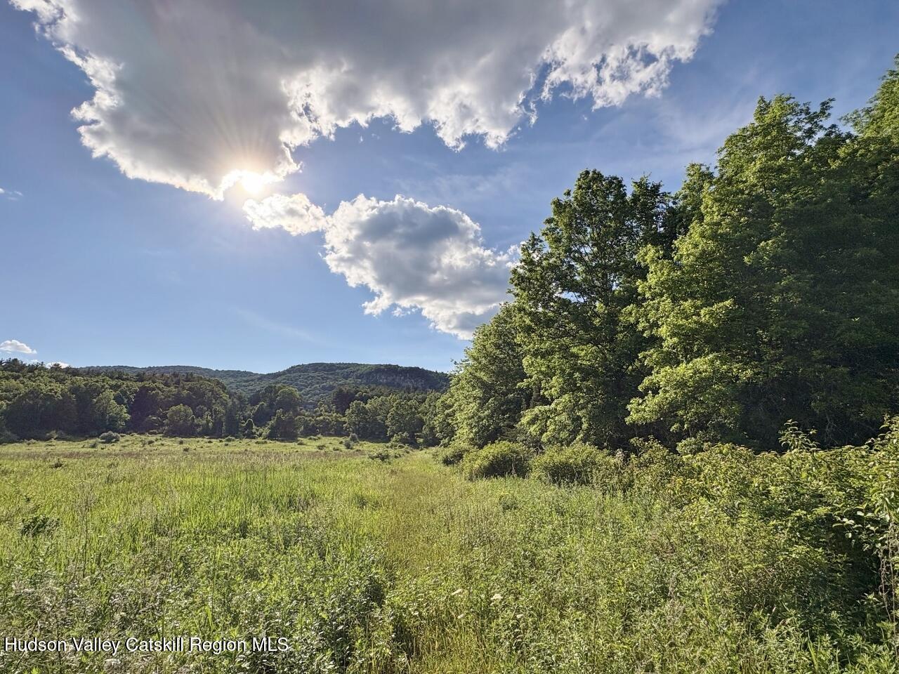 239 Springtown Road New Paltz, NY 12561 - Photo 14 of 42 Woods