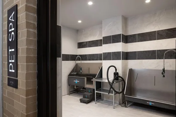 $2,779 | 7850 Communications Parkway, Unit 1518, Plano, TX 75024