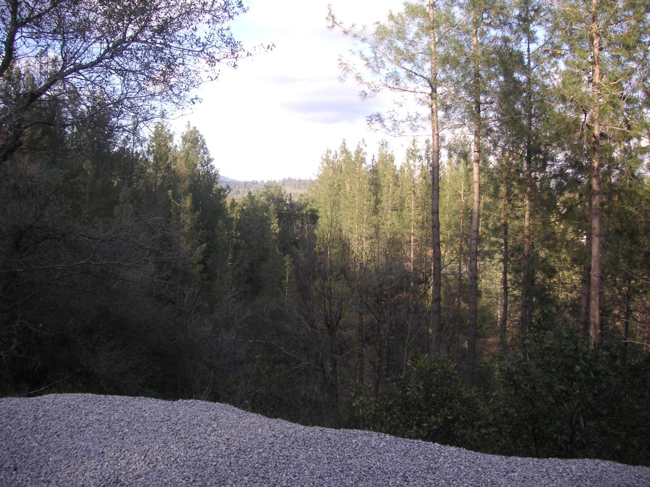 15399 Blackbart Road Shasta, CA 96087 - Photo 2 of 10 View