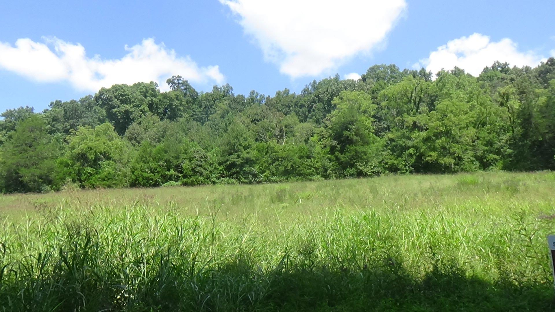 3 Houston Thomas Road Manchester, TN 37355 - Photo 1 of 16
