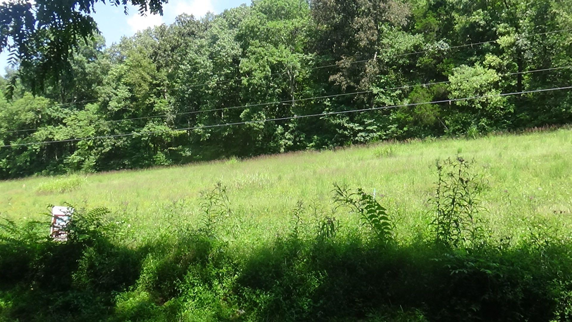 3 Houston Thomas Road Manchester, TN 37355 - Photo 12 of 16