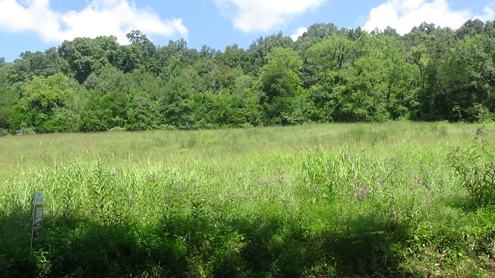 3 Houston Thomas Road Manchester, TN 37355 - Photo 2 of 16