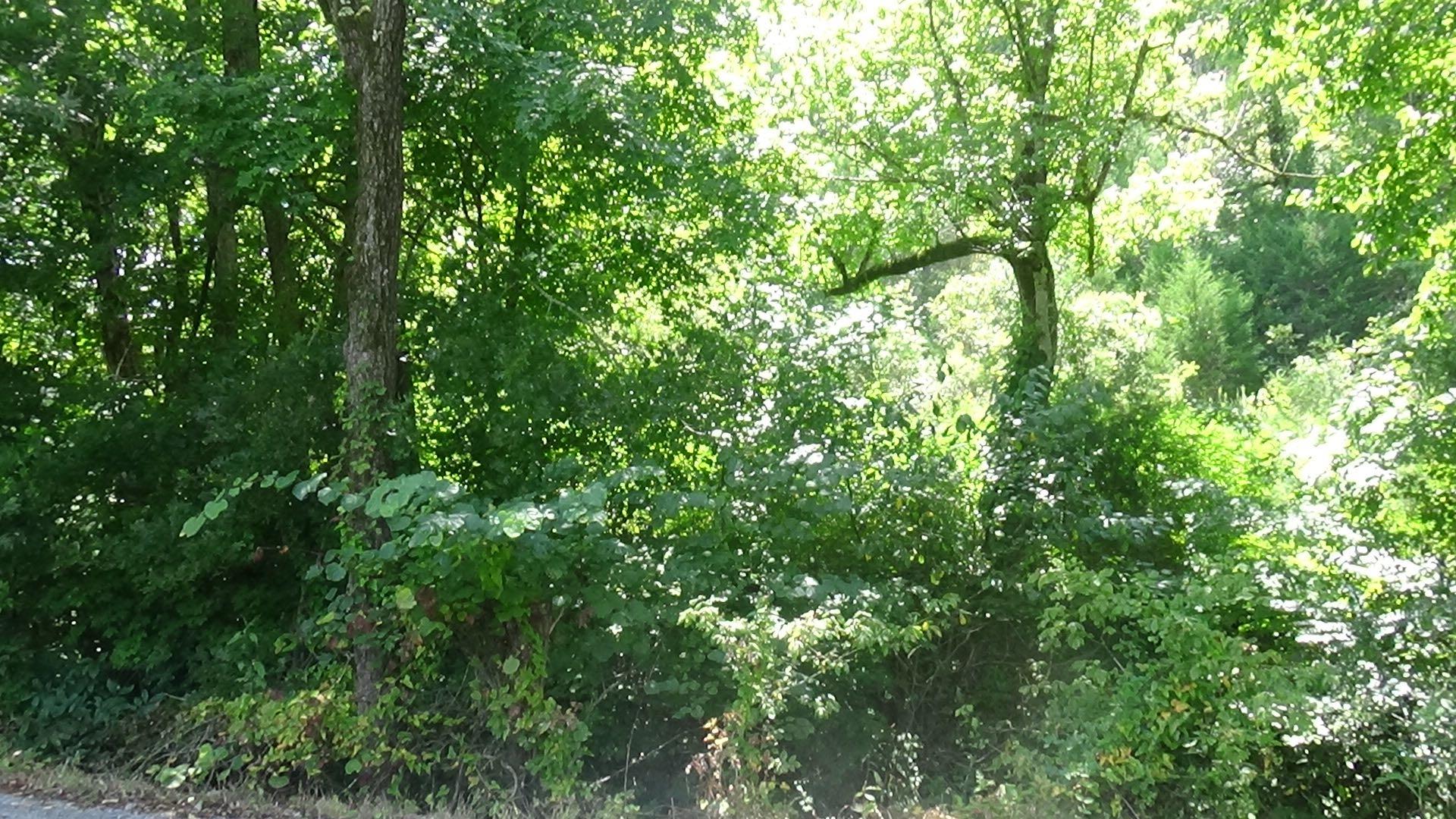 3 Houston Thomas Road Manchester, TN 37355 - Photo 7 of 16