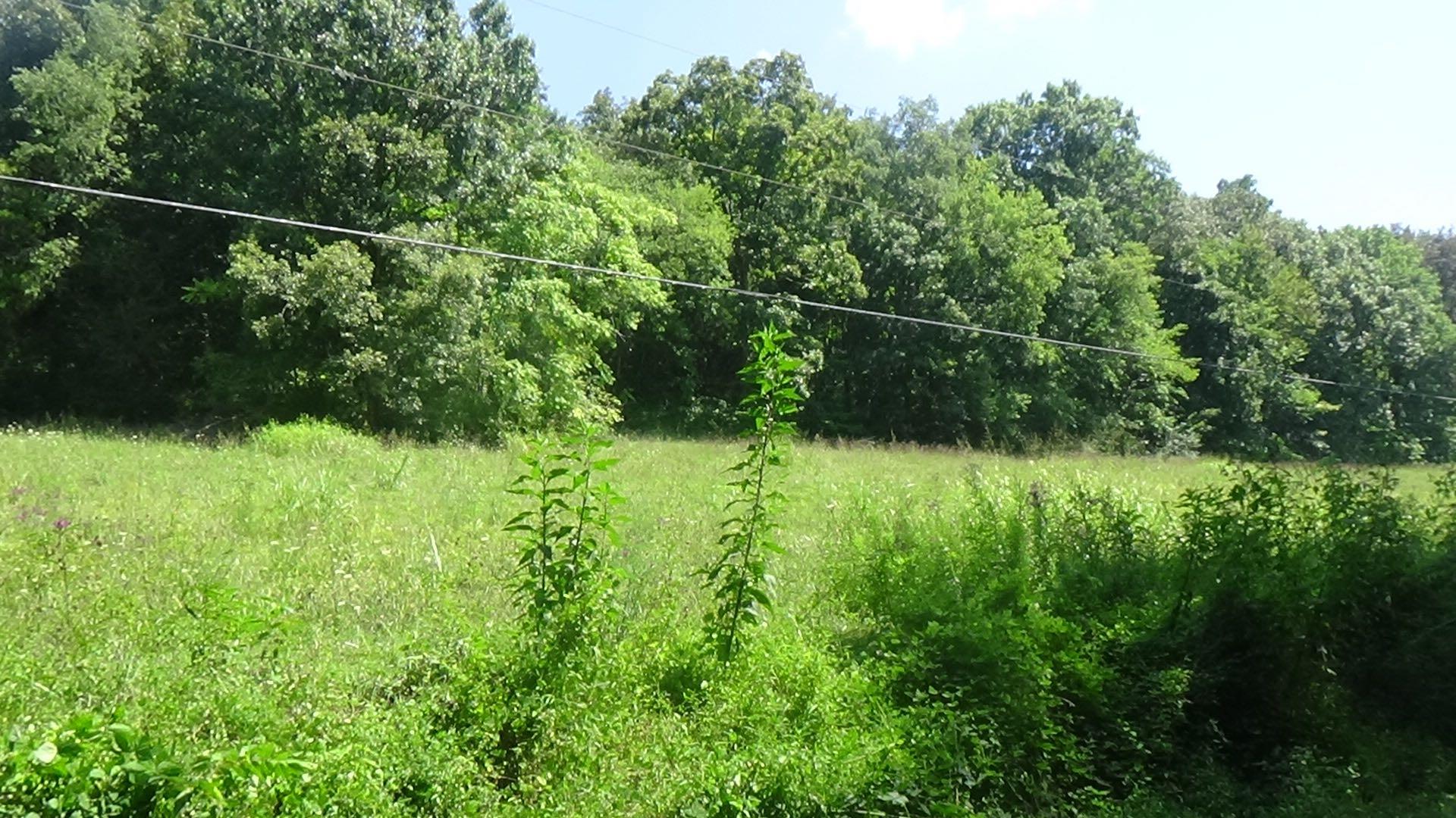 3 Houston Thomas Road Manchester, TN 37355 - Photo 10 of 16