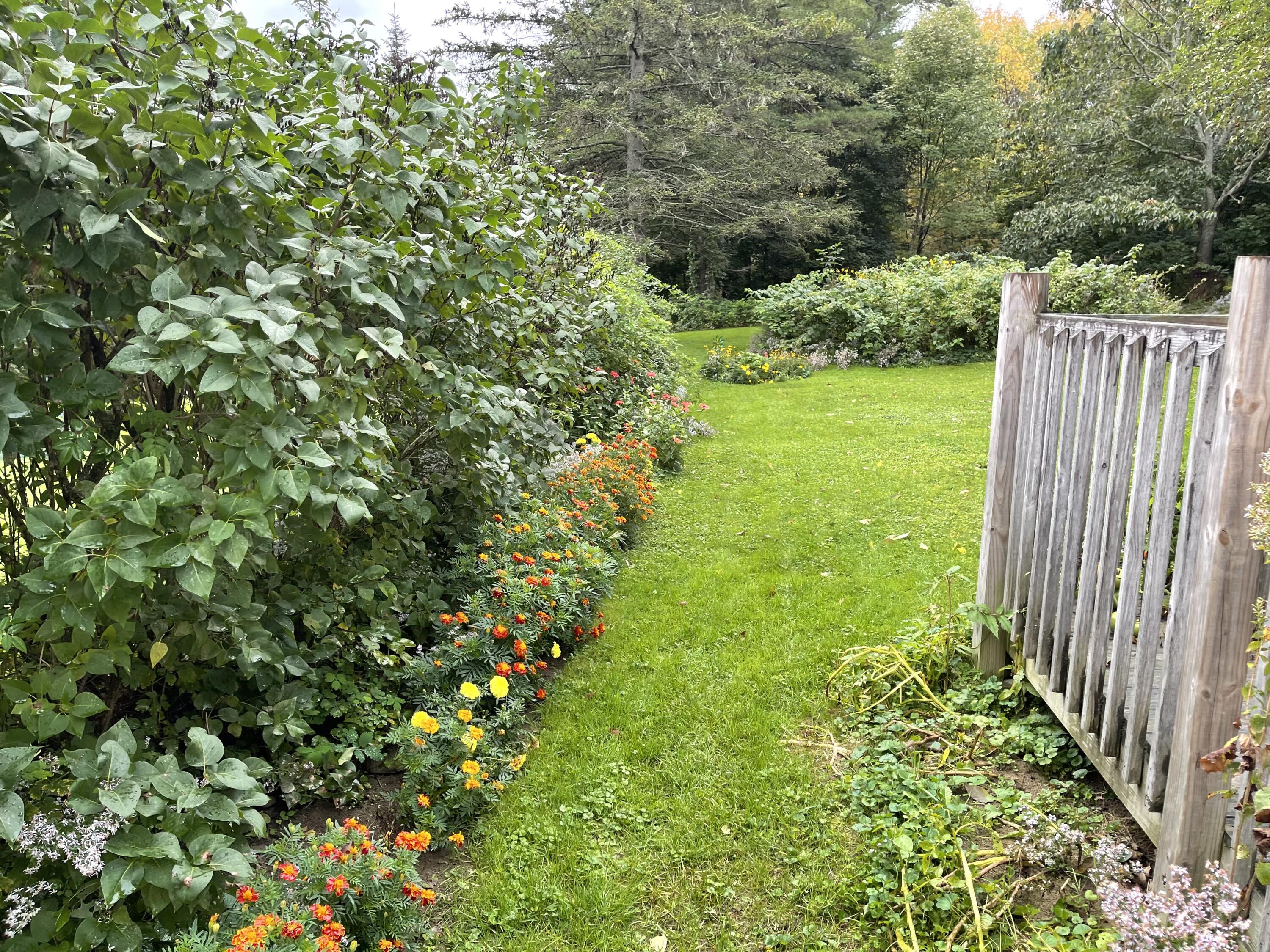 10 Maple Street Hallowell, ME 04347 - Photo 5 of 19 IMG_0590