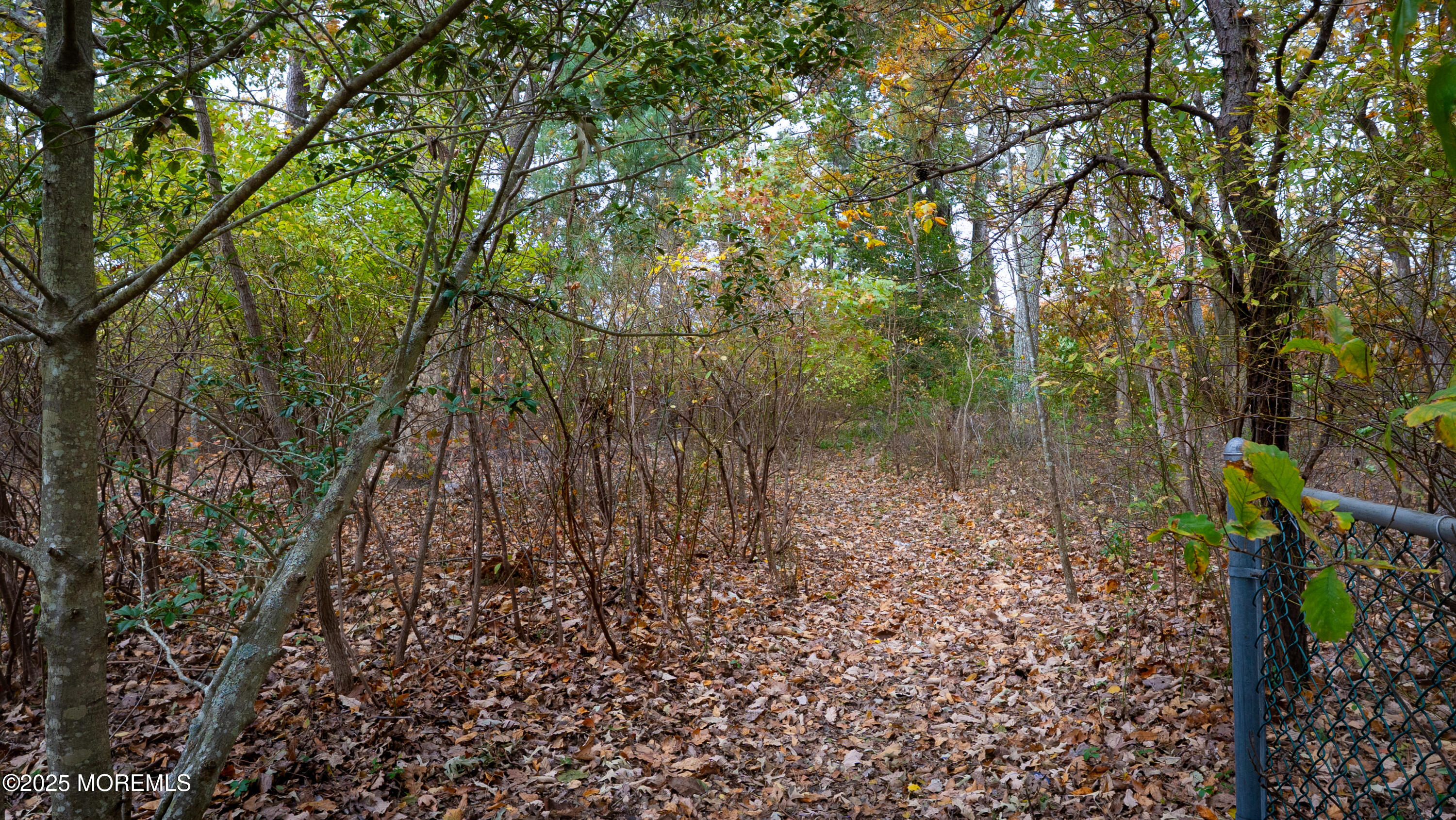 219 Kettle Creek Road Toms River, NJ 08753 - Photo 12 of 26 a backyard of a house with lots of green space