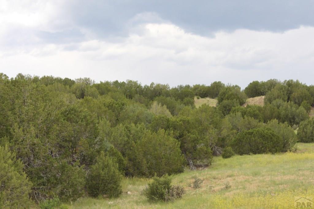 Tbd South Tbd S Waterbarrel Road Beulah, CO 81023 - Photo 15 of 21