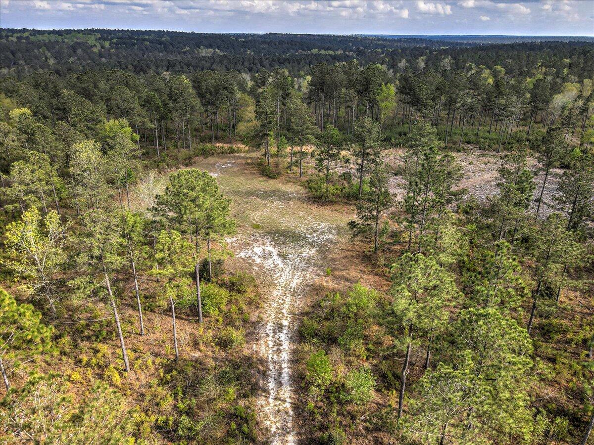 0 Deer Run Road, Unit E Williston, SC 29853 - Photo 4 of 15