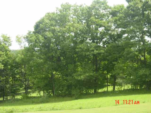 817 Rt 403 Greenville, NY 12083 - Photo 10 of 12 Photo 10