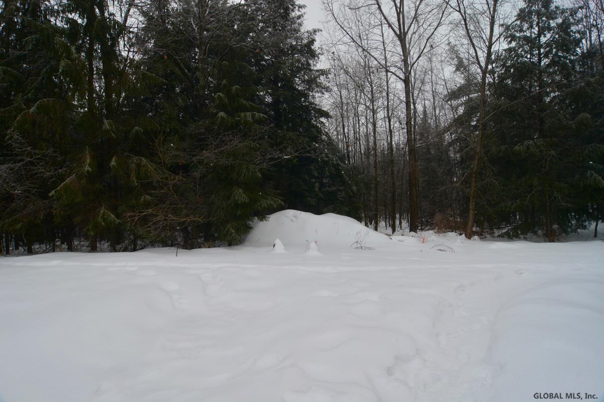 326 Midline Road Amsterdam, NY 12010 - Photo 47 of 53 Photo 48