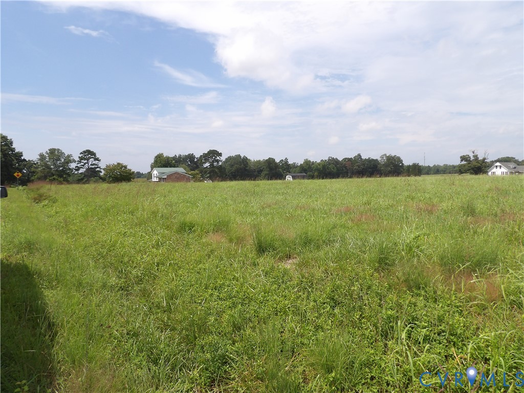 2137 Good Hope Road Crewe, VA 23930 - Photo 64 of 67 Expansive open field with natural vegetation, bord