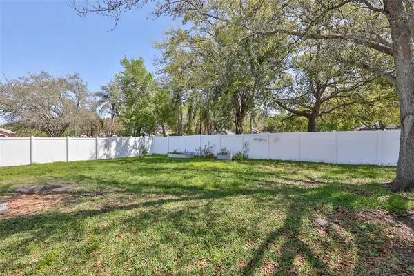 a view of a yard with plants and large trees