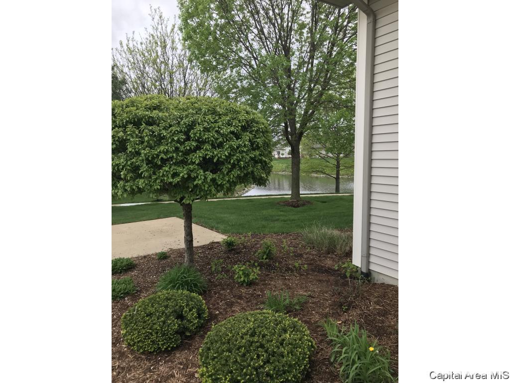 807 Colorado Court Springfield, IL 62711 - Photo 2 of 33