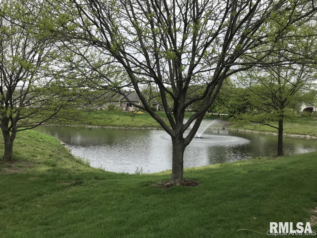 807 Colorado Court Springfield, IL 62711 - Photo 6 of 33