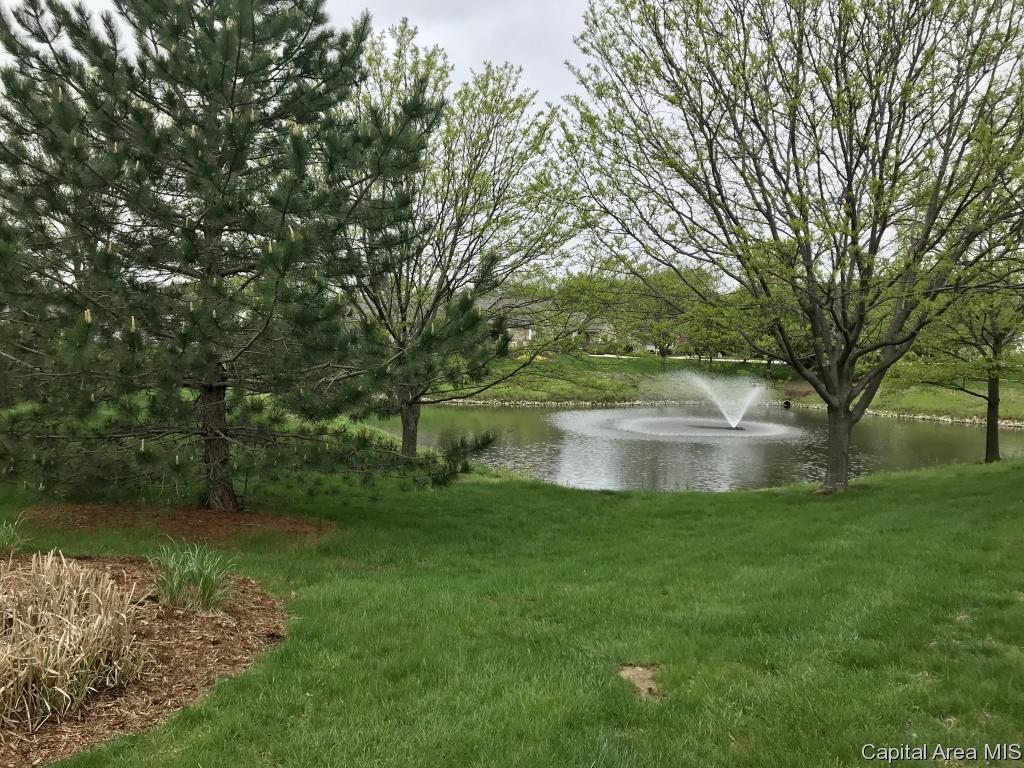 807 Colorado Court Springfield, IL 62711 - Photo 7 of 33