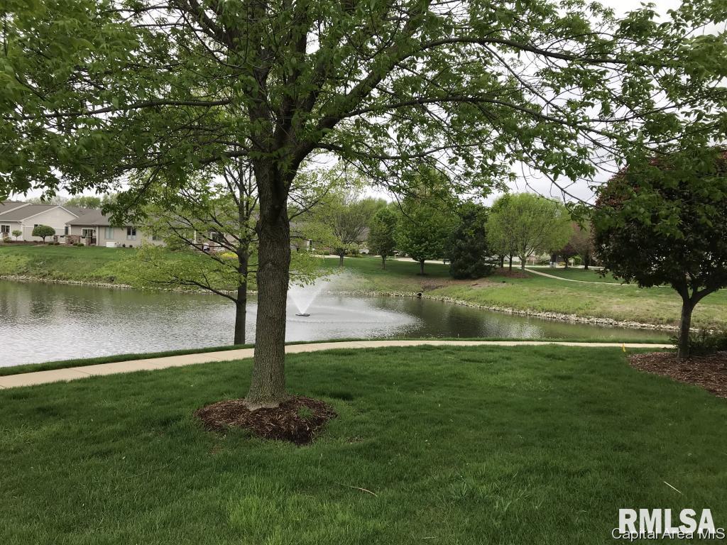 807 Colorado Court Springfield, IL 62711 - Photo 8 of 33