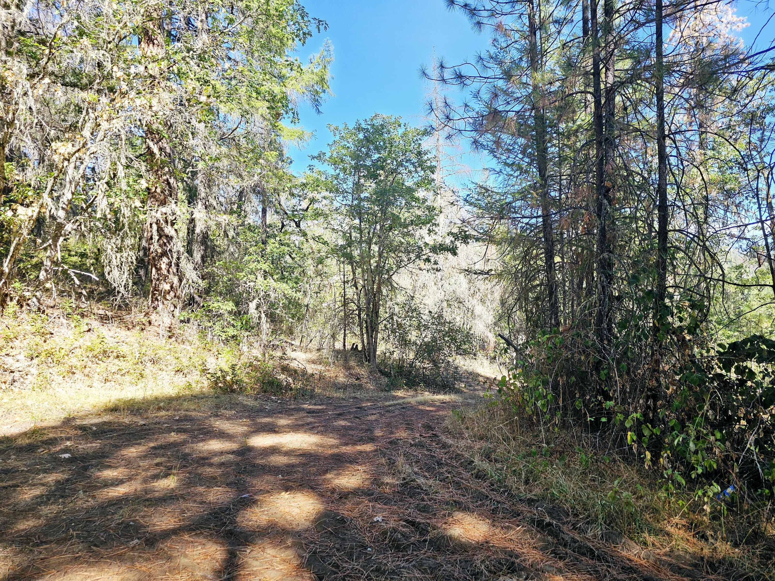 6531 Crowfoot Road Trail, OR 97541 - Photo 13 of 20 20240918_112532