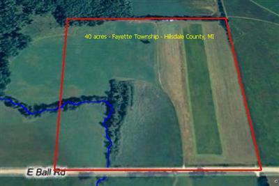 East Ball Road Jonesville, MI 49250 - Photo 1 of 5 Primary Photo