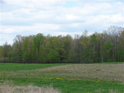 East Ball Road Jonesville, MI 49250 - Photo 3 of 5 Additional Photo