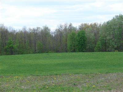 East Ball Road Jonesville, MI 49250 - Photo 4 of 5 Additional Photo