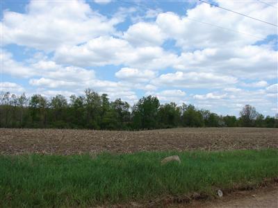 East Ball Road Jonesville, MI 49250 - Photo 5 of 5 Additional Photo