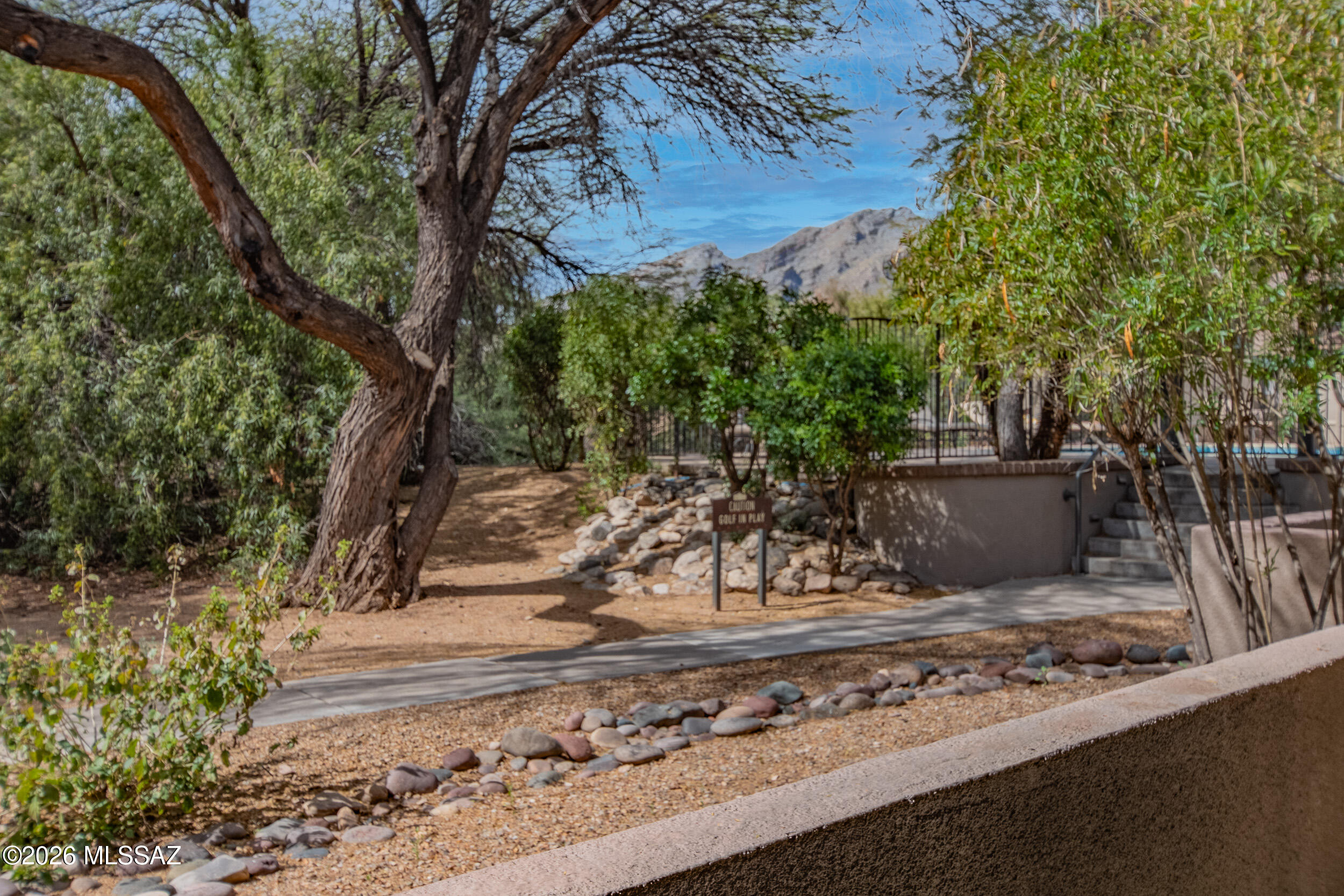 5855 North Kolb Road, Unit 6103 Tucson, AZ 85750 - Photo 20 of 31 a view of a backyard with wooden fence and large trees