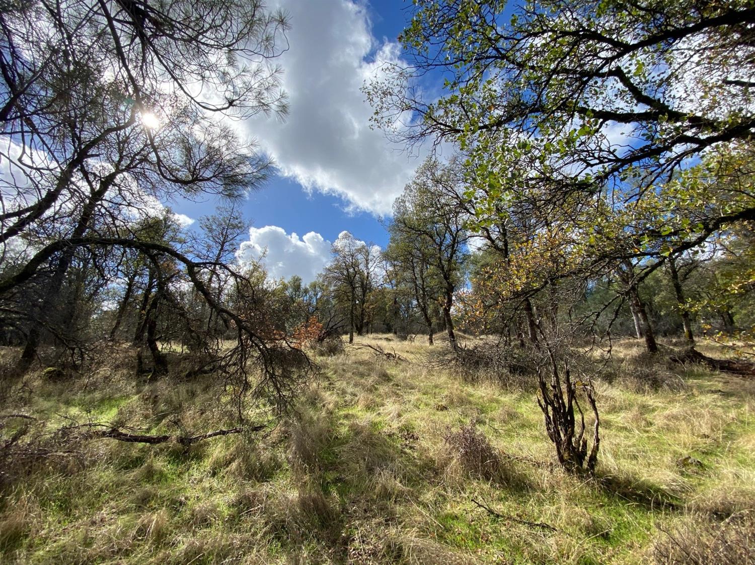 0 Marysville Road Browns Valley, CA 95918 - Photo 13 of 19