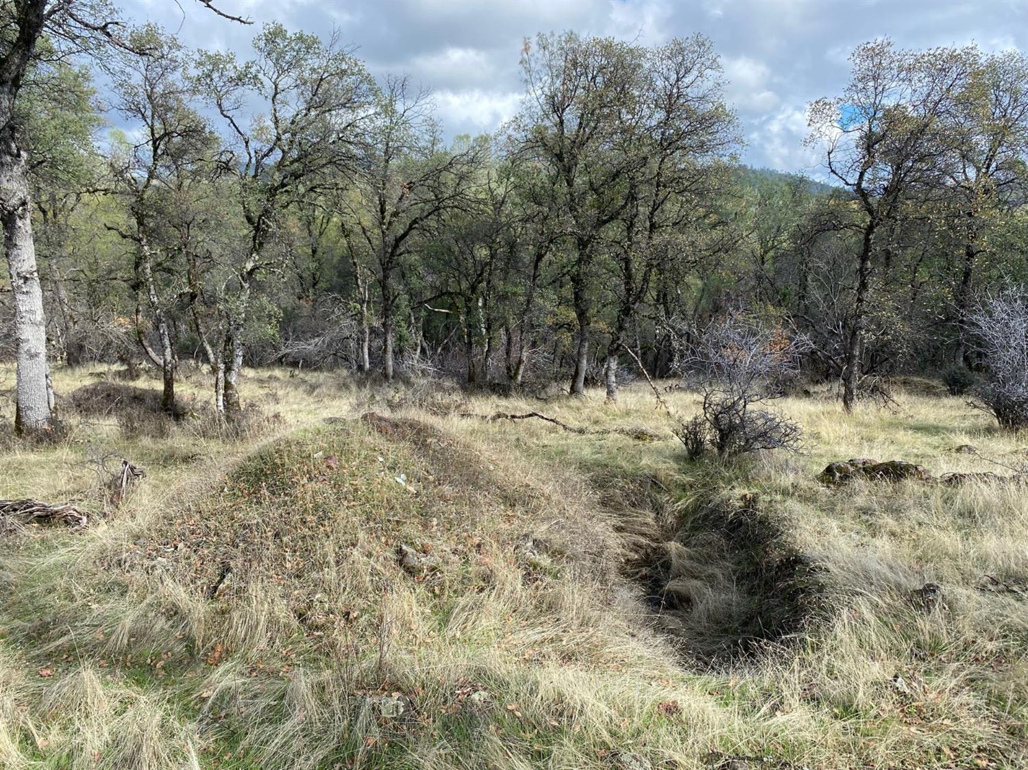 0 Marysville Road Browns Valley, CA 95918 - Photo 14 of 19 Perk test spot.