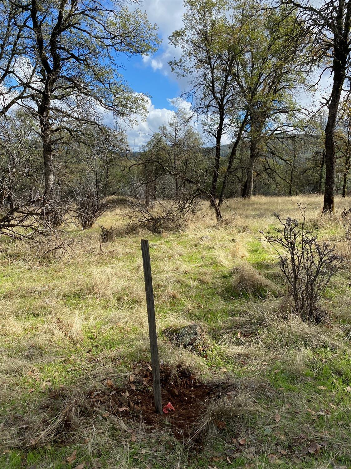 0 Marysville Road Browns Valley, CA 95918 - Photo 15 of 19