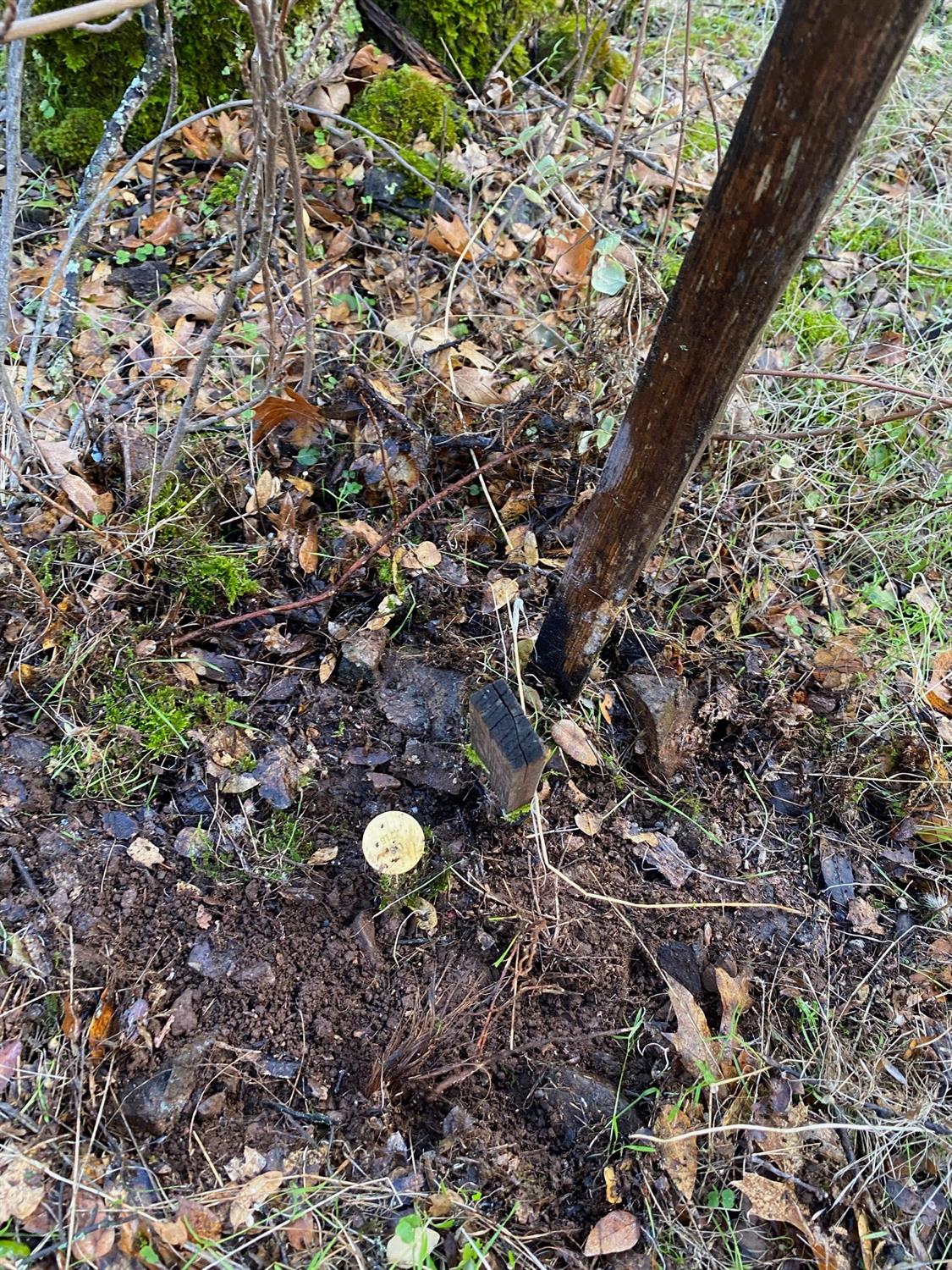 0 Marysville Road Browns Valley, CA 95918 - Photo 17 of 19