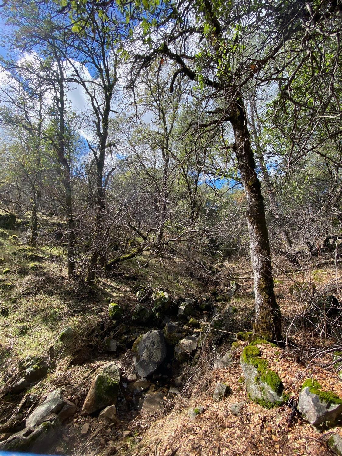 0 Marysville Road Browns Valley, CA 95918 - Photo 18 of 19