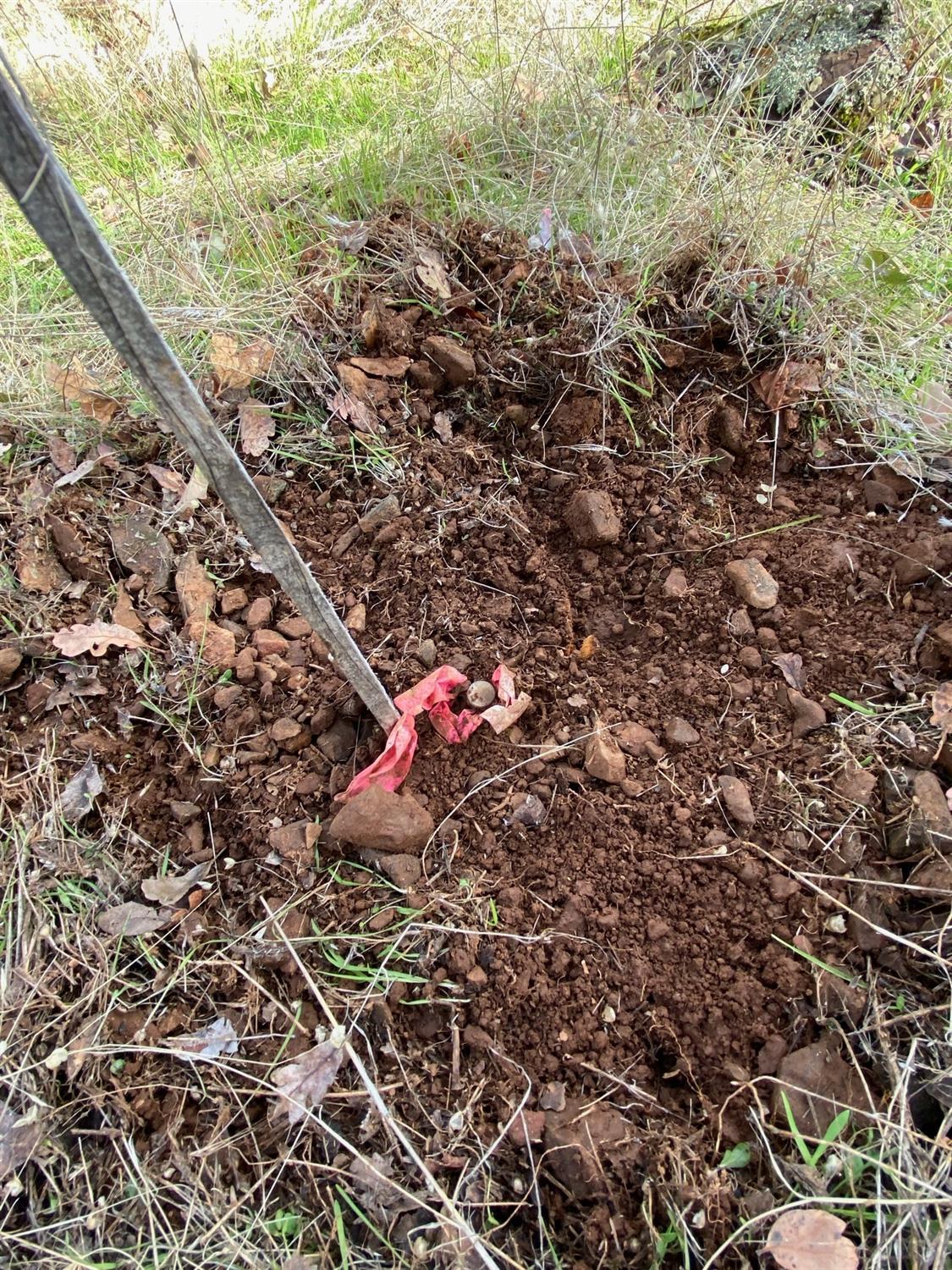 0 Marysville Road Browns Valley, CA 95918 - Photo 19 of 19