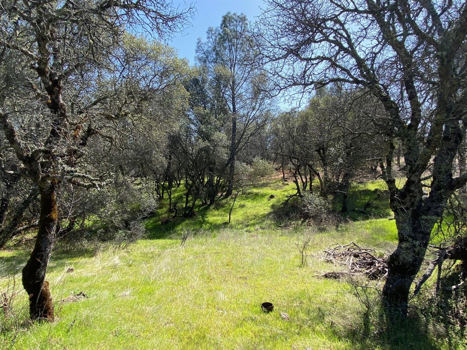 0 Marysville Road Browns Valley, CA 95918 - Photo 2 of 19