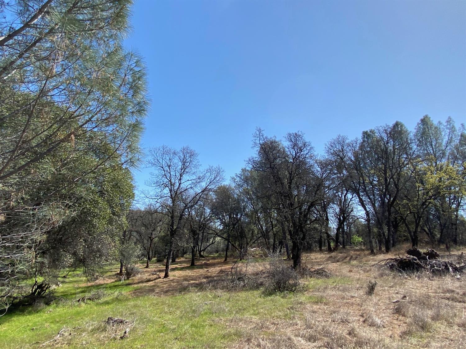 0 Marysville Road Browns Valley, CA 95918 - Photo 3 of 19