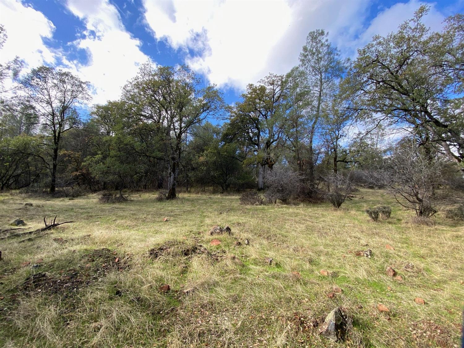 0 Marysville Road Browns Valley, CA 95918 - Photo 4 of 19