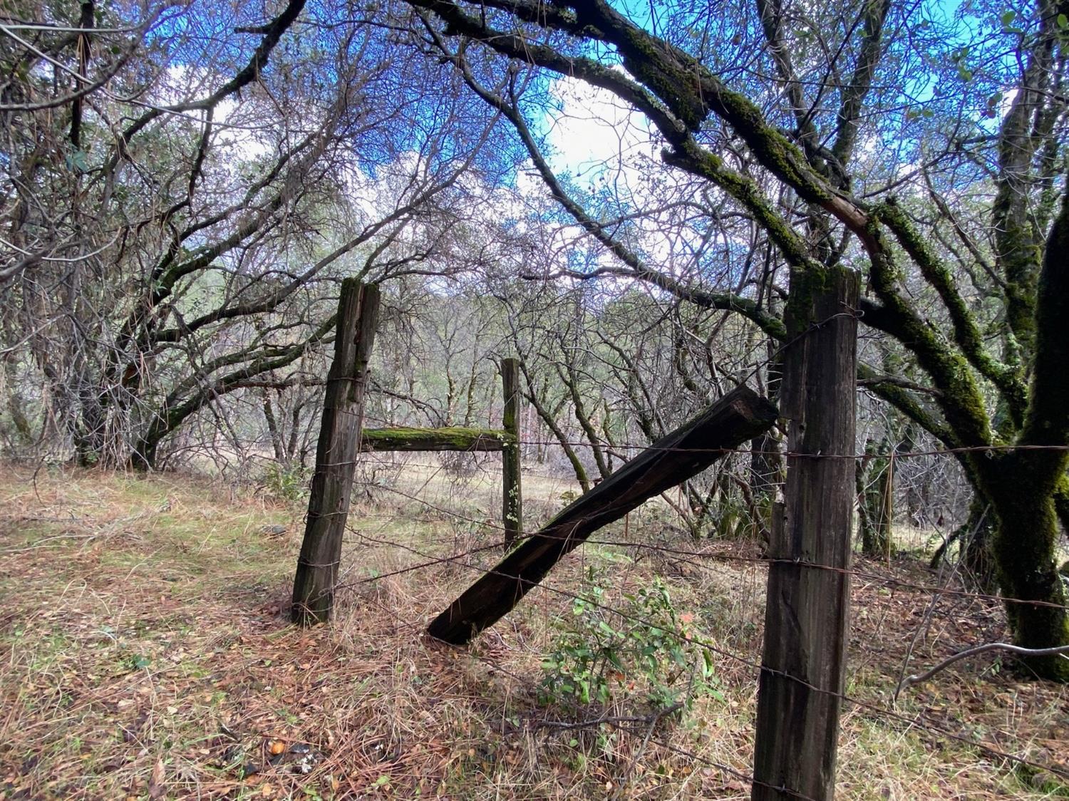 0 Marysville Road Browns Valley, CA 95918 - Photo 6 of 19