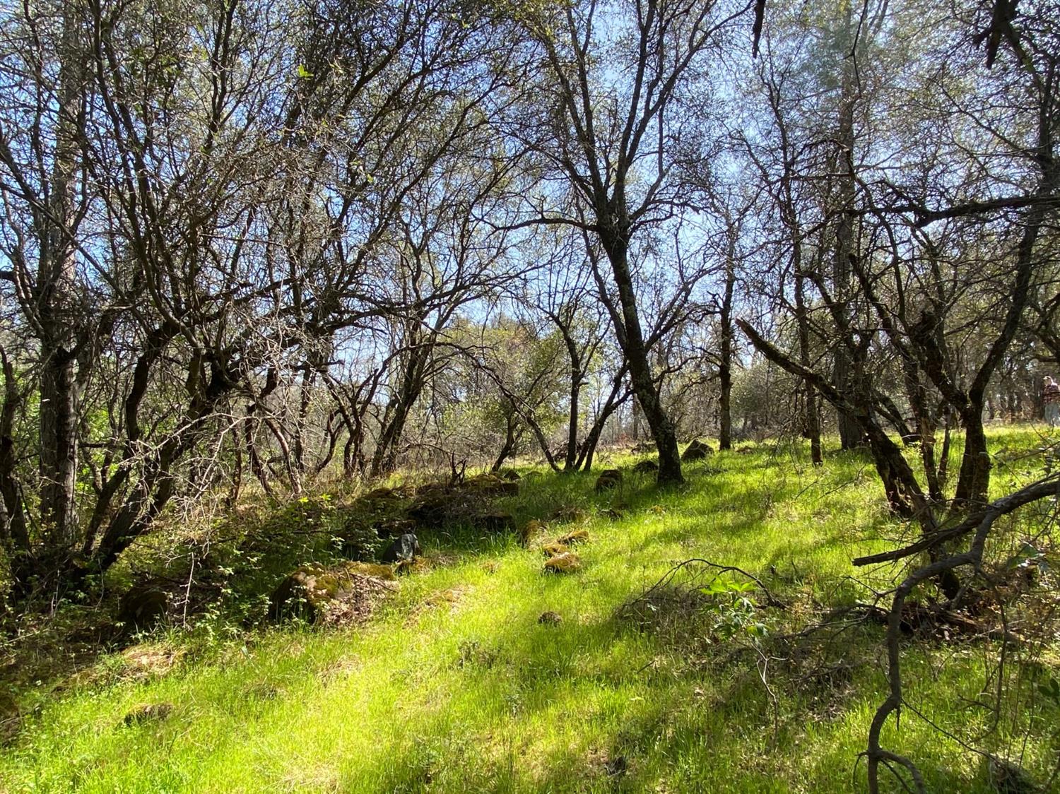 0 Marysville Road Browns Valley, CA 95918 - Photo 7 of 19