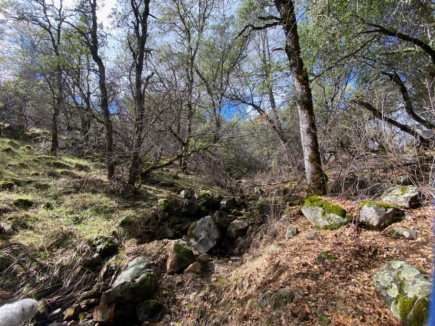 0 Marysville Road Browns Valley, CA 95918 - Photo 8 of 19