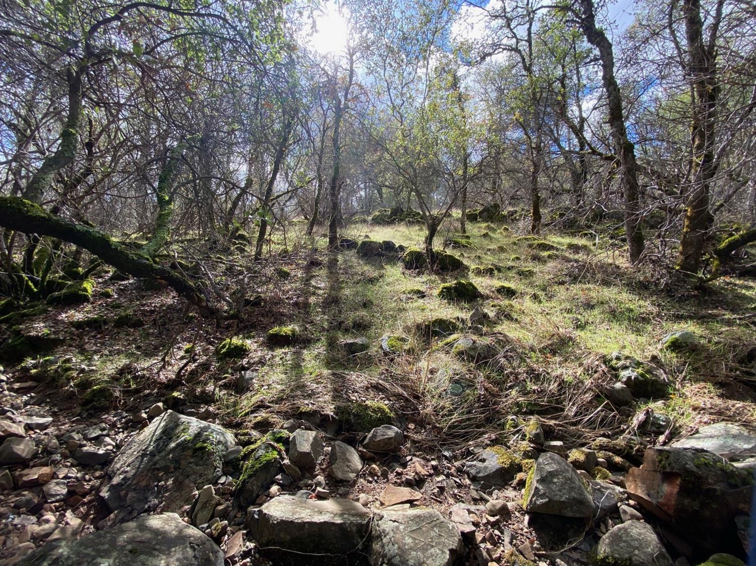 0 Marysville Road Browns Valley, CA 95918 - Photo 9 of 19