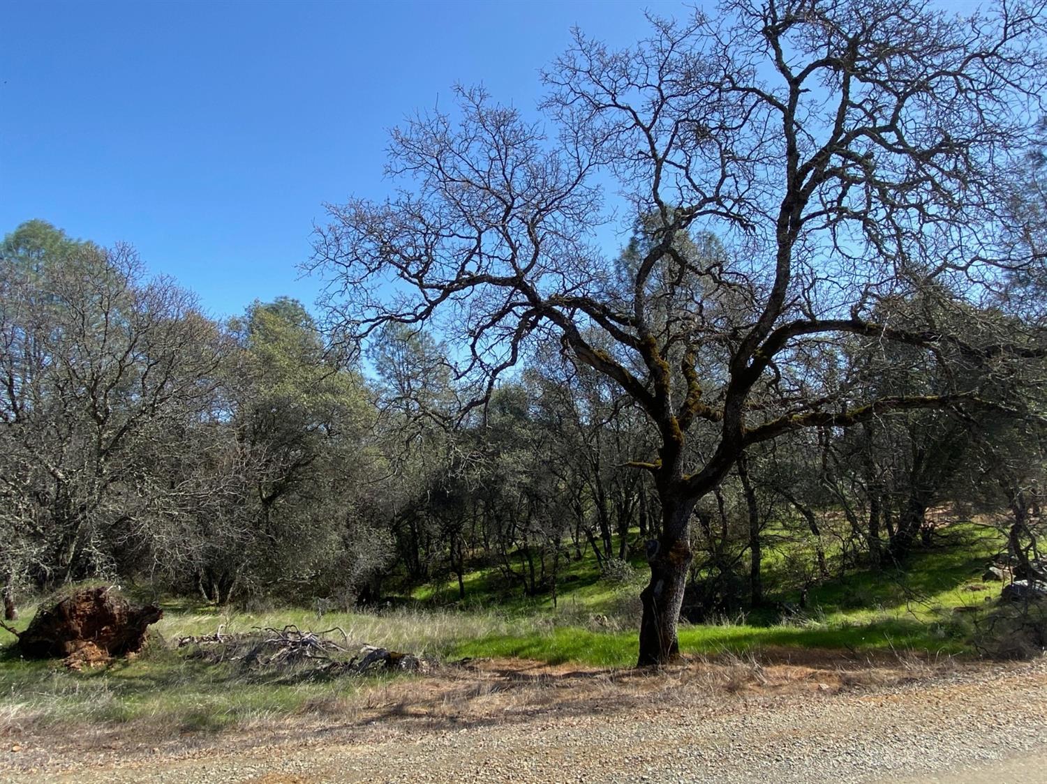 0 Marysville Road Browns Valley, CA 95918 - Photo 10 of 19 Picture taken from Graham Ct. on the gravel road