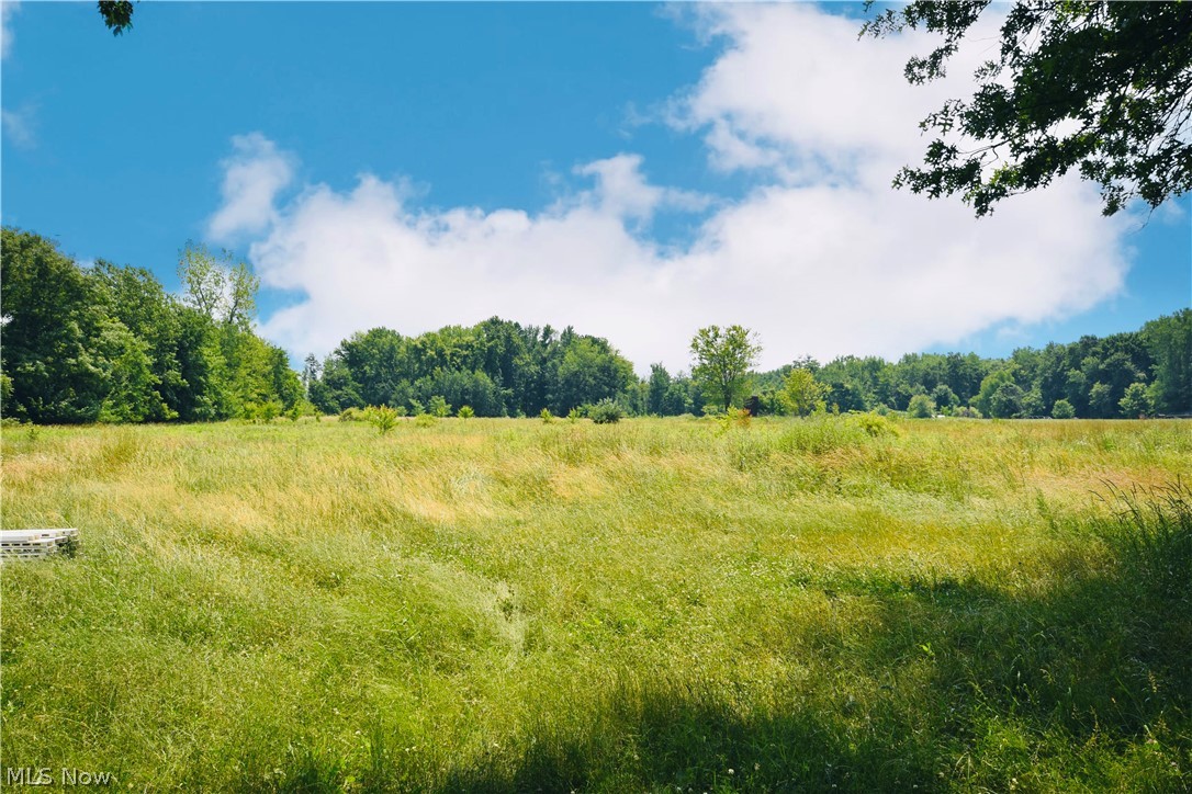 5694 Middle Ridge Road Madison, OH 44057 - Photo 17 of 27 View of nature featuring a rural view