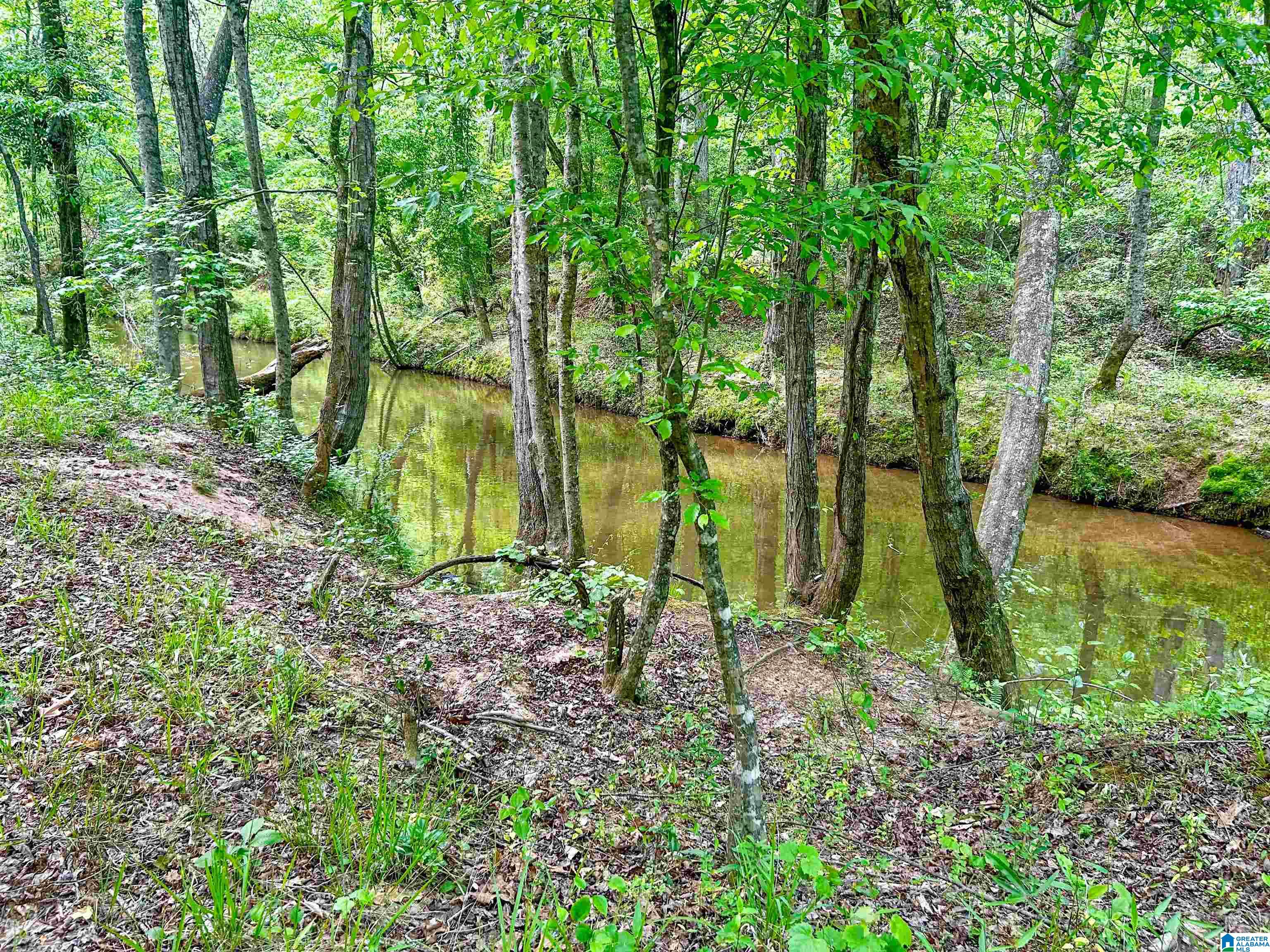 1 Old Mill Road Goodwater, AL 35072 - Photo 4 of 22