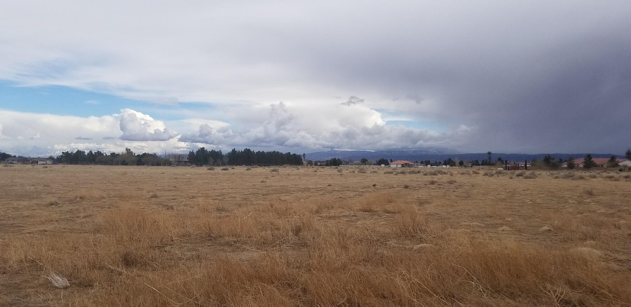 C2 Vic 84 Stw Antelope Acres Ca