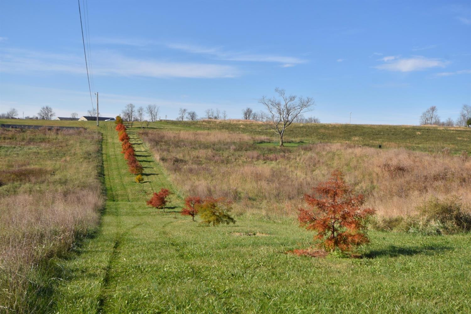 7900 Tates Creek Road Lexington, KY 40515 - Photo 4 of 64 Photo 4