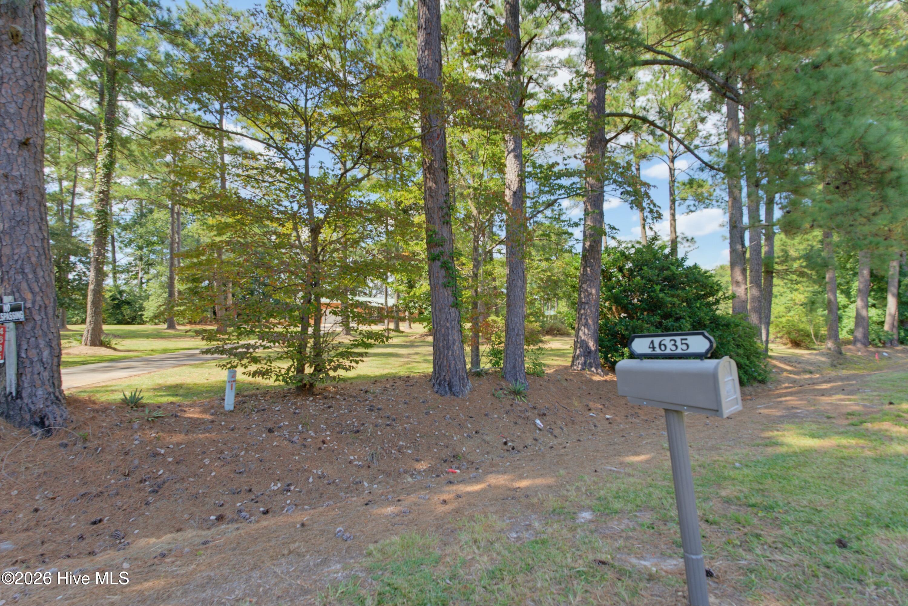 4635 Hallsboro Road North Clarkton, NC 28433 - Photo 56 of 57 Front Yard View