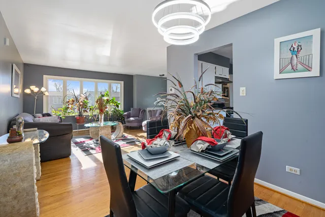 a view of a dining room with furniture a potted plant and wooden floor
