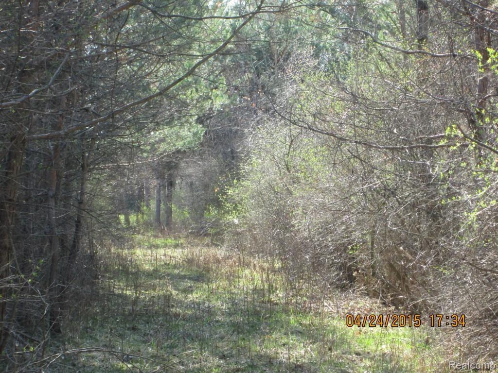 62050 Bates Road New Haven, MI 48048 - Photo 10 of 74 IMG_1498.jpg