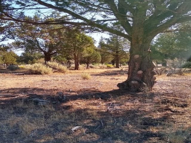 8 2/64 Archer Road Weed, CA 96094 - Photo 3 of 5 Gallery Image 3
