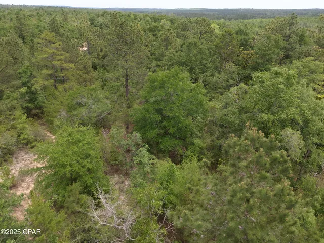 $4,900 | 0 Quail Hollow Boulevard, Chipley, FL 32428